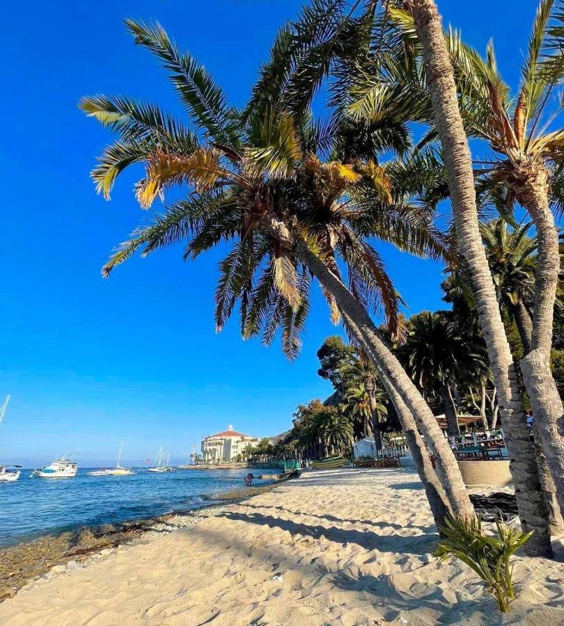 Gorgeous Oceanfront Villa With Panoramic Views アバロン エクステリア 写真
