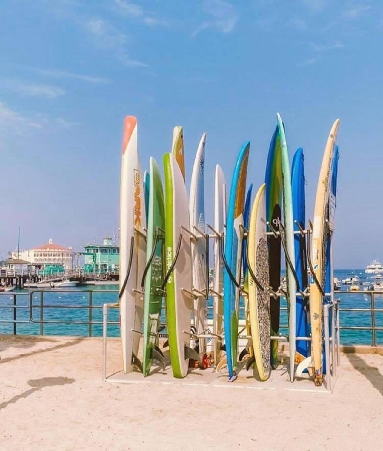 Gorgeous Oceanfront Villa With Panoramic Views アバロン エクステリア 写真