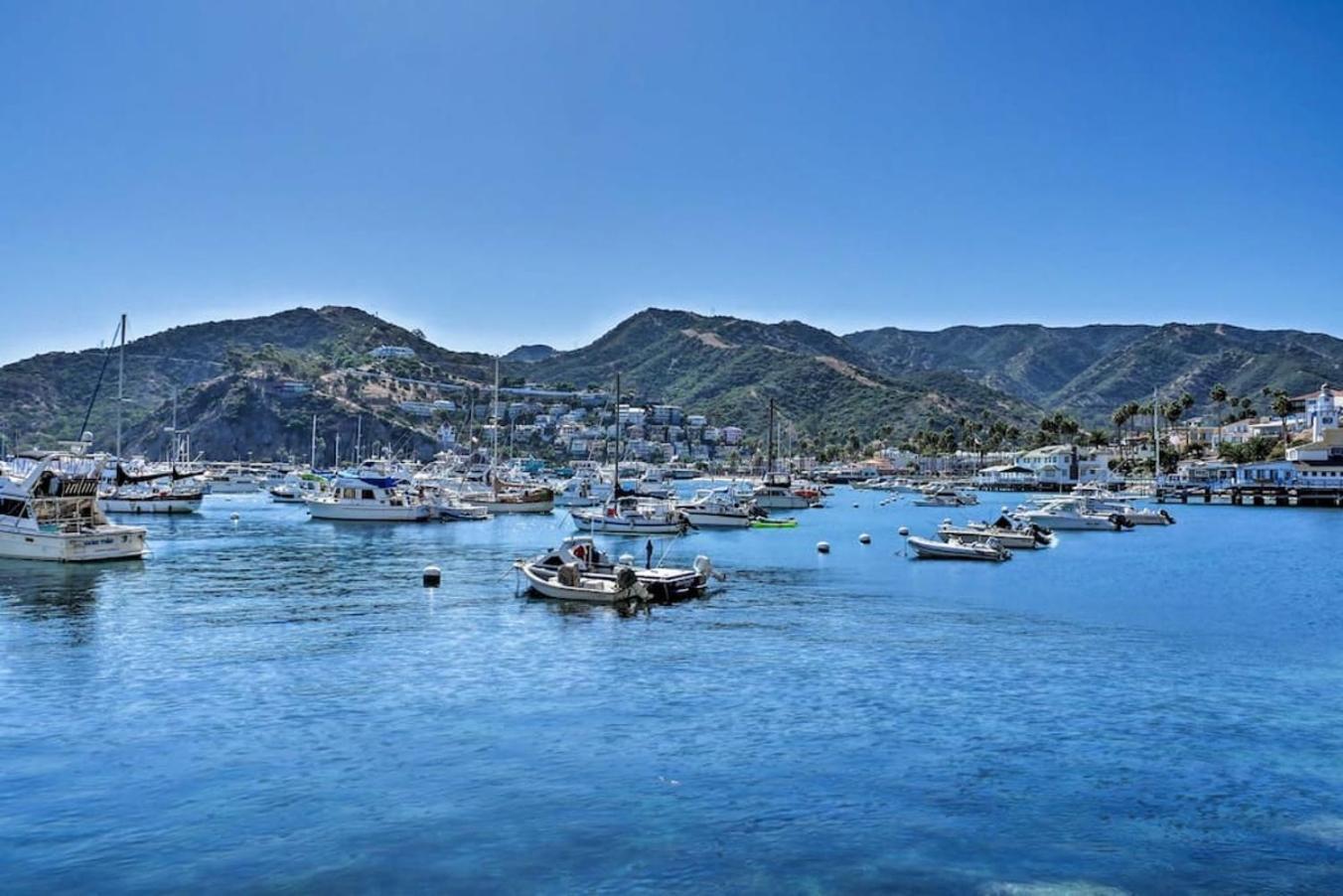 Gorgeous Oceanfront Villa With Panoramic Views アバロン エクステリア 写真